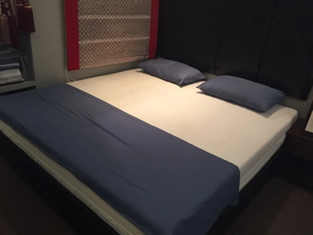 Photo 1 of 1 - Double Latex Bed Mattress for Deep Sleep | Euro Home